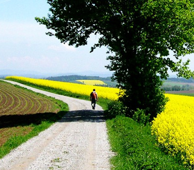Wanderwege